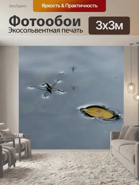 Фотообои Насекомое