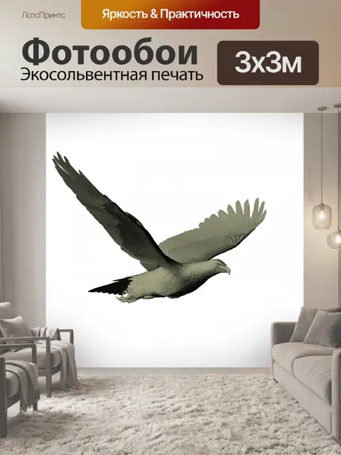 Фотообои лысый орел