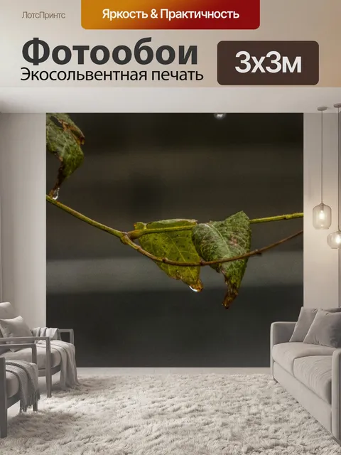 Фотообои Дождь на листьях