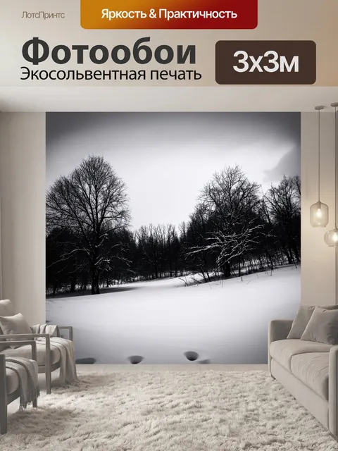 Фотообои черно-белый с изображением зимнего пейзажа
