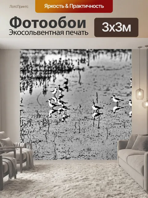 Фотообои Птицы на болотах