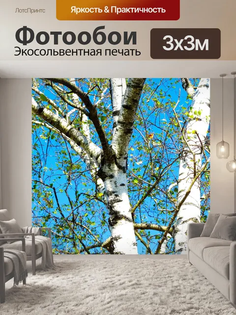 Фотообои Береза