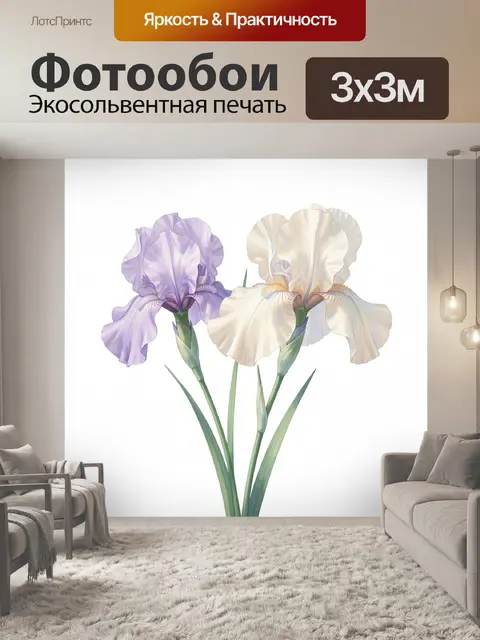 Фотообои Нежные ирисы на белом фоне