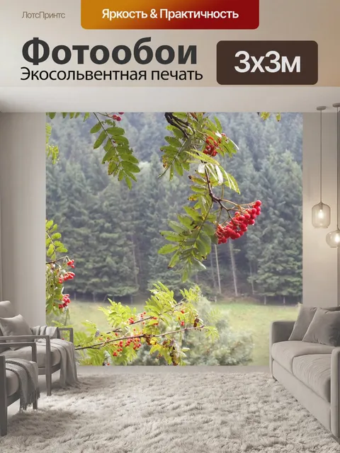 Фотообои Ягоды рябины