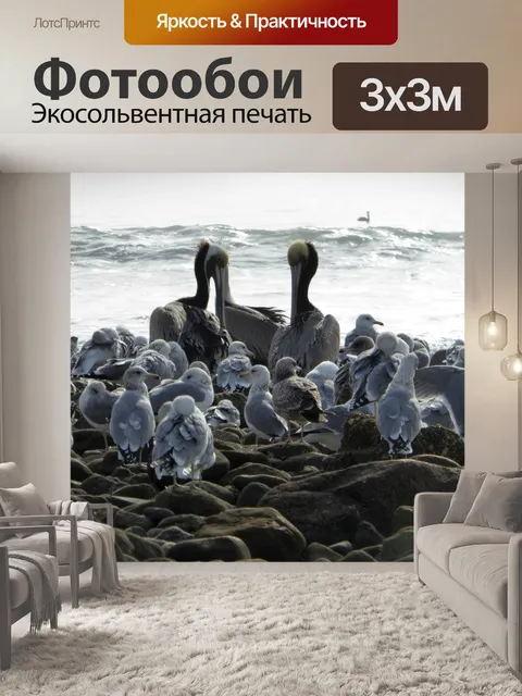 Фотообои два пеликана и чайки