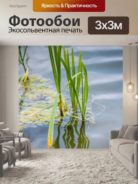 Фотообои Вода
