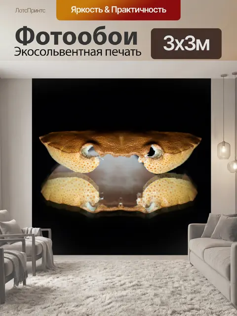 Фотообои отражение, зеркало, предмет