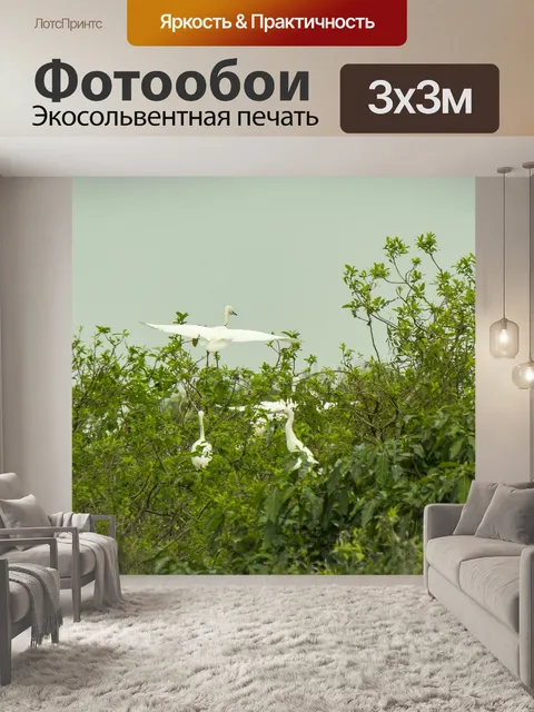 Фотообои Аисты и улитки