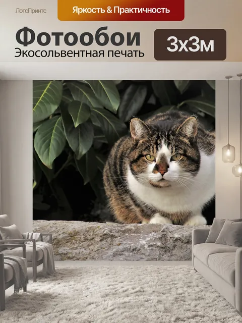 Фотообои Кошка