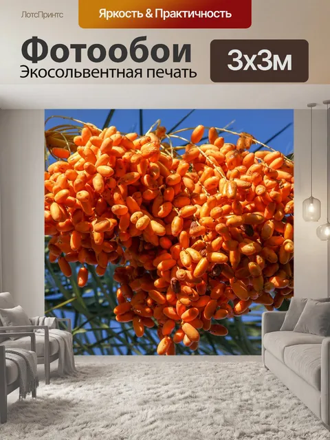 Фотообои Природа