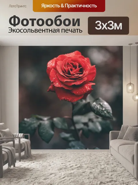 Фотообои Красный