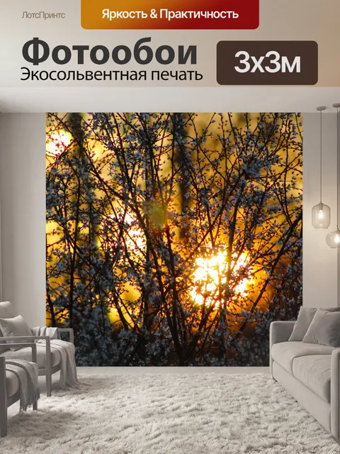 Фотообои Природа