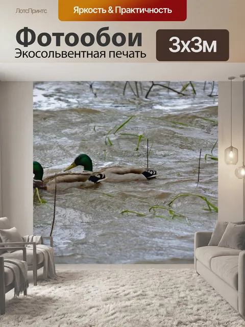 Фотообои Утки на озере