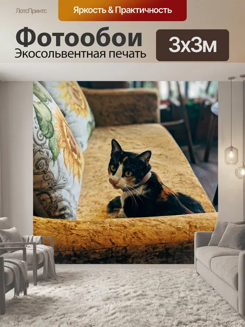 Фотообои Кот