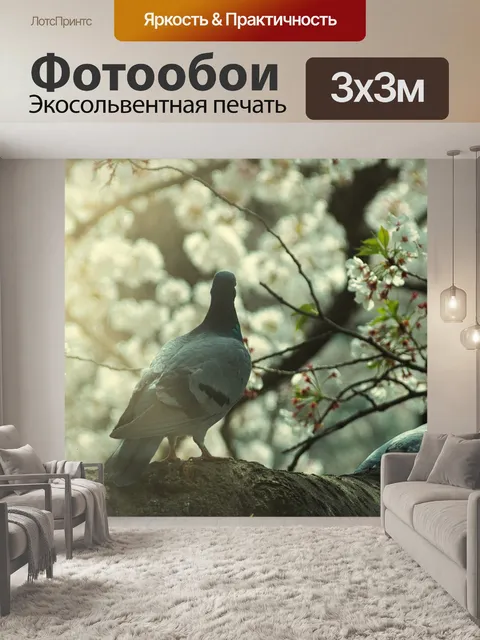 Фотообои Цветение вишни