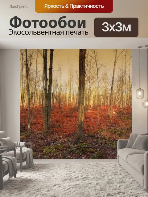 Фотообои Лесной пейзаж