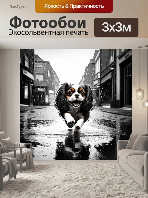 Фотообои городская улица в дождливый день, где кавалер кинг чарльз спаниель весело прыгает по лужам