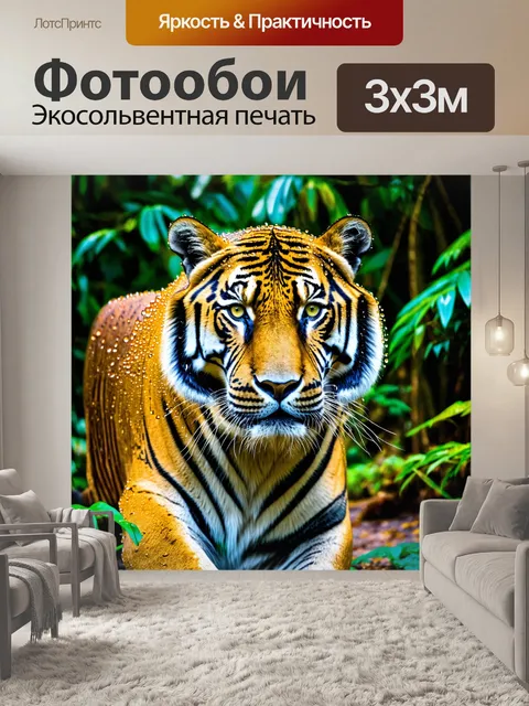 Фотообои тигр в тропическом лесу, покрытый росой