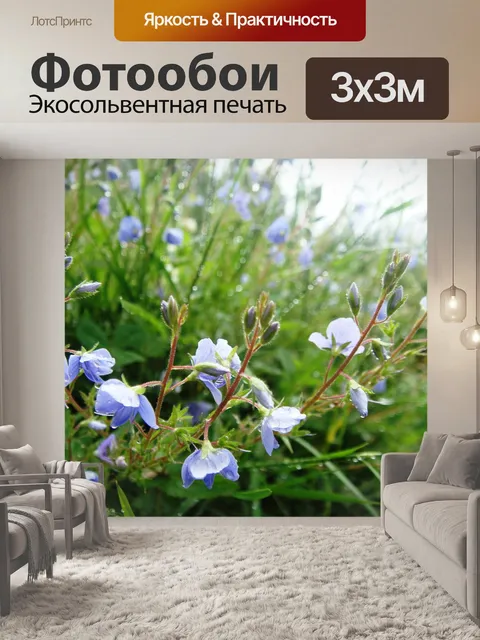 Фотообои Цветы