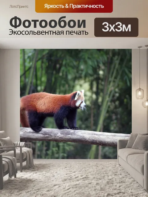 Фотообои Красная панда