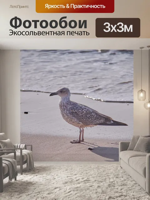 Фотообои Море