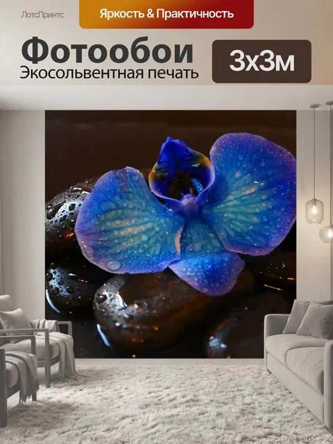 Фотообои Орхидея