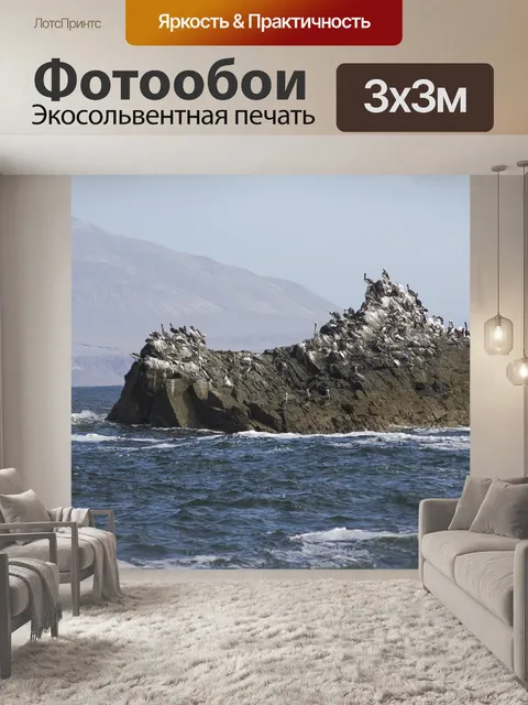 Фотообои Птицы