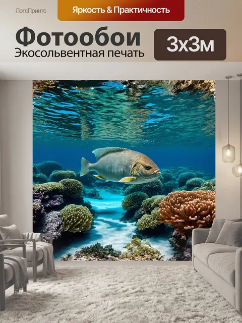 Фотообои гигантский наполеон губан плавно скользит по изумрудным водам большого барьерного рифа