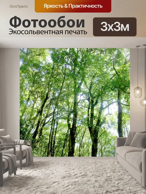 Фотообои Природа тропический лес дои Интанон наци