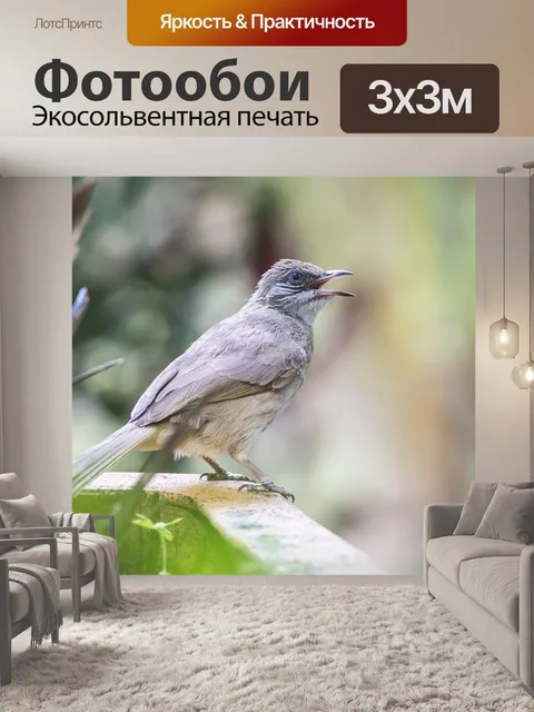 Фотообои Яркий цвет