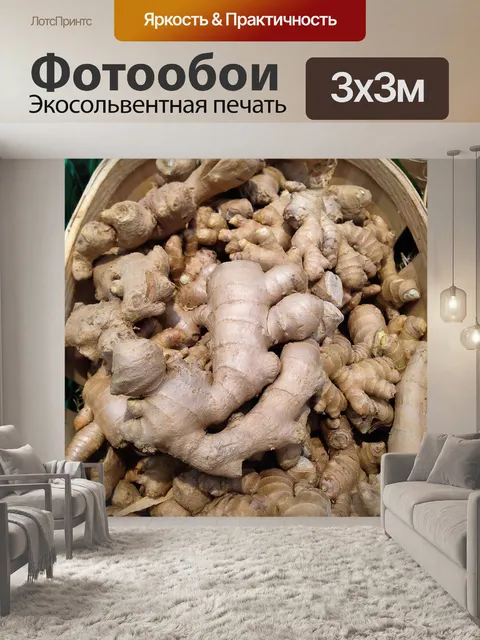 Фотообои Корень