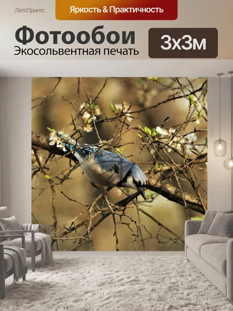 Фотообои Голубая сойка и весенние цветы