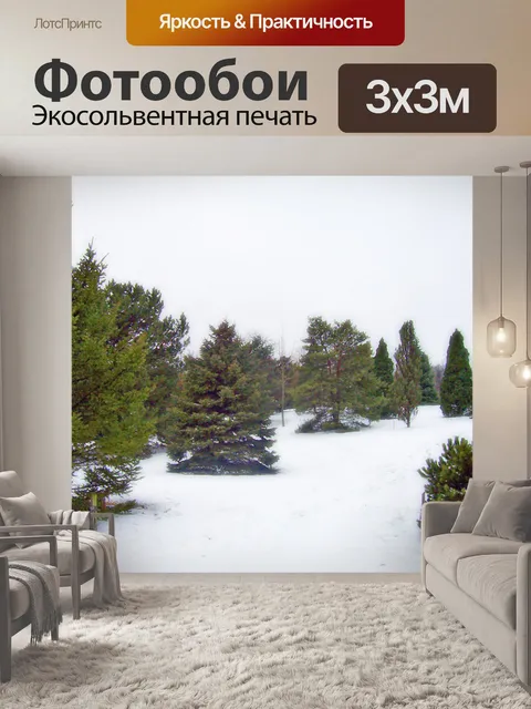 Фотообои Вечнозеленые деревья в снегу