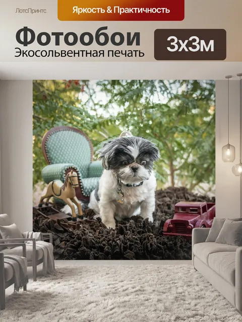 Фотообои Пип