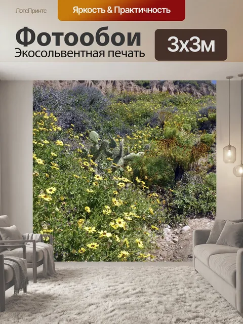 Фотообои Полевые цветы на скале