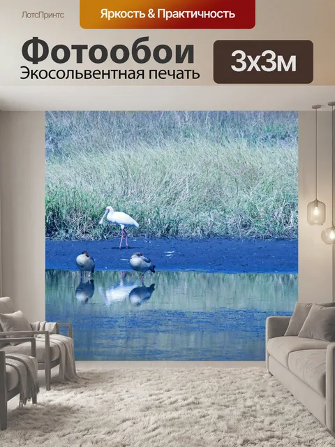 Фотообои африканская ложка законопроект на грани