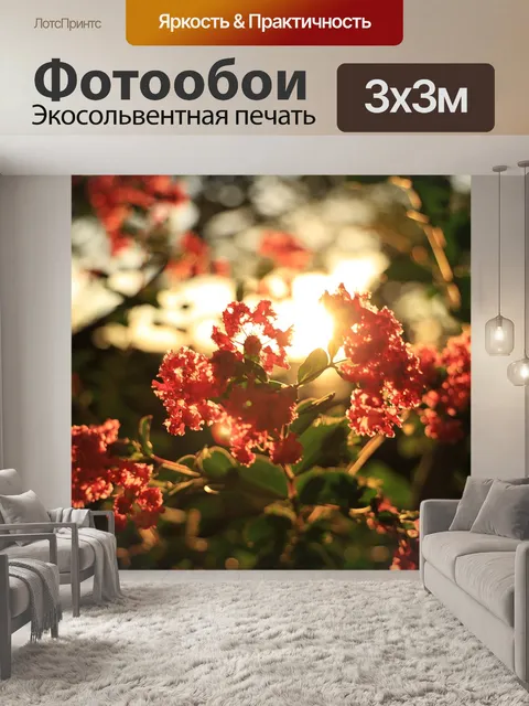 Фотообои Заход солнца