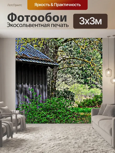 Фотообои Хижина в лесу