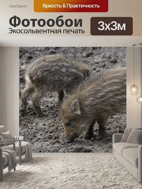 Фотообои Новички