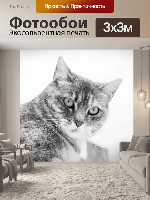 Фотообои Животные