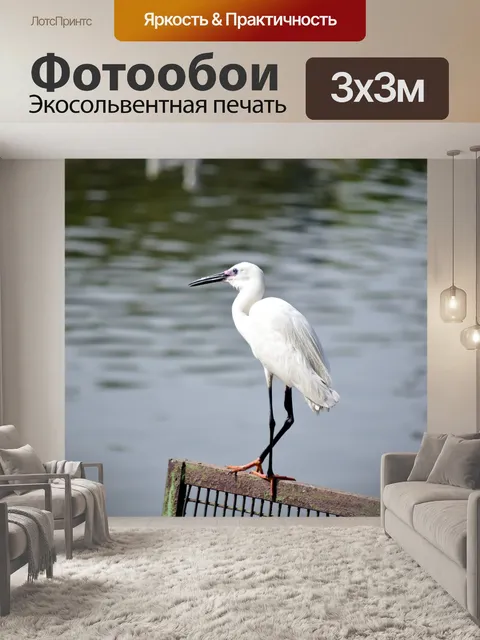 Фотообои Аист 1