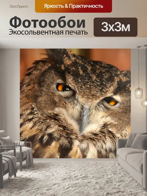 Фотообои Филин