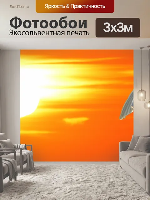 Фотообои Колпица