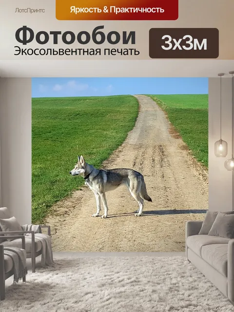 Фотообои Волкодав