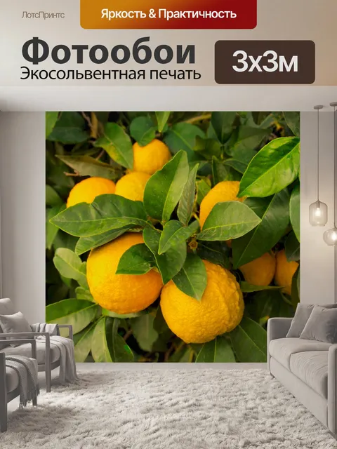 Фотообои Дикие лимоны