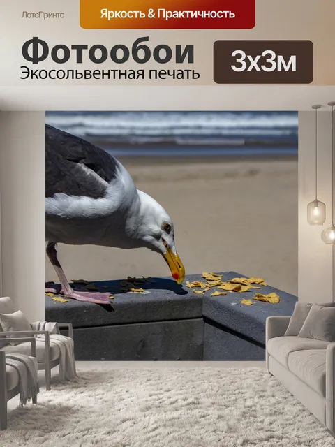 Фотообои чайка