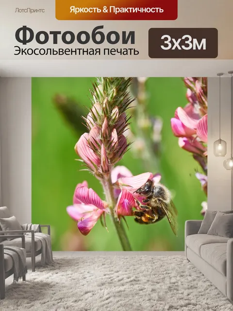 Фотообои Пчела