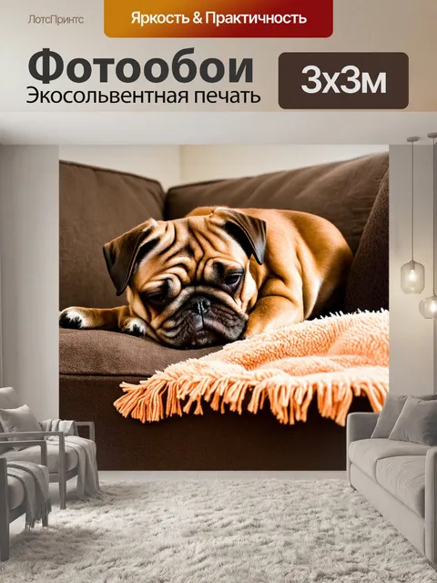 Фотообои коричневый мопс, спящий на диване, рядом с любимым одеялом