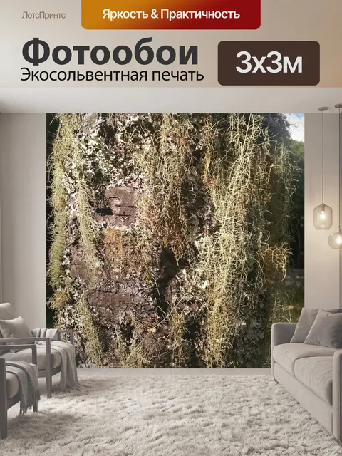Фотообои Дерево