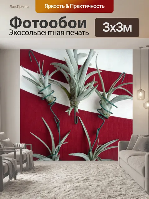 Фотообои Tillandsia